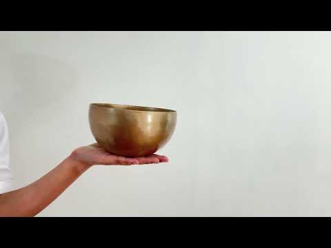 Hand Hammered Singing Bowl - Base Note D4 289