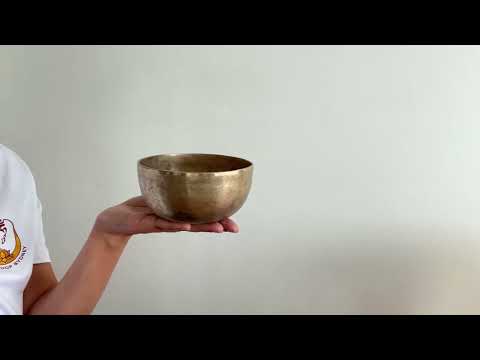 Small Tara Singing Bowl - Base Note E4 (321)