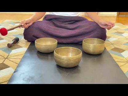 Set of 3 Nesting Tara Bowls - TBS95