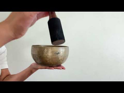Tara Singing Bowl - Base Note D#3 (155 Hz)