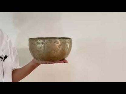 Tara Singing Bowl - Base Note E3 (168 Hz)