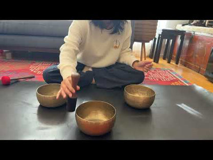Set of 3 Tara Bowls - TBS99