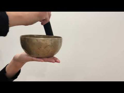 Small Tara Singing Bowl - Base Note E4 (334)