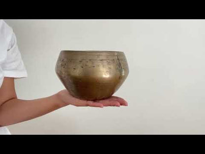 Collector's Small Buddha Singing Bowl - Base Note F#4 (361 Hz)