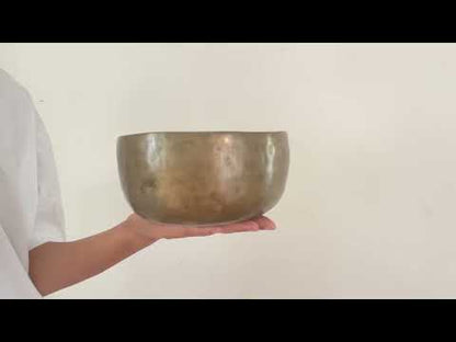 Tara Singing Bowl - Base Note F3 (172 Hz)