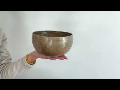 Copre Singing Bowl - D3 149 Hz