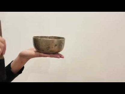 Small Tara Singing Bowl - Base Note G#4 (416)