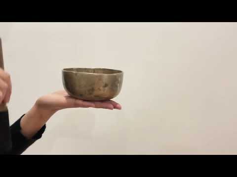 Small Tara Singing Bowl - Base Note G#4 (416)