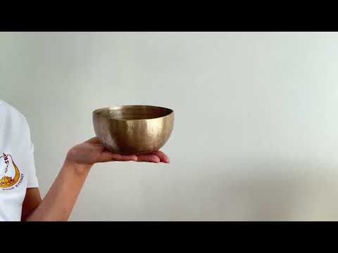 Small Tara Singing Bowl - Base Note D4 (288)