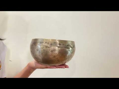 Copre Singing Bowl - E3 167 Hz