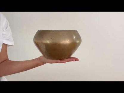 Collector's Buddha Singing Bowl - Base Note F#4 (362 Hz)