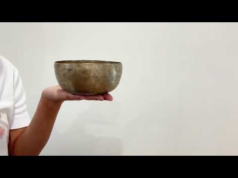 Small Tara Singing Bowl - Base Note C#4 (274)