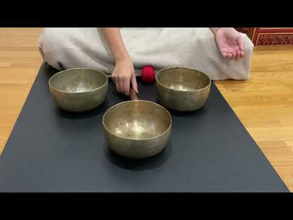 Set of 3 Tara Bowls - TBS77