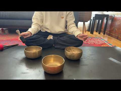 Set of 3 Tara Bowls - TBS98