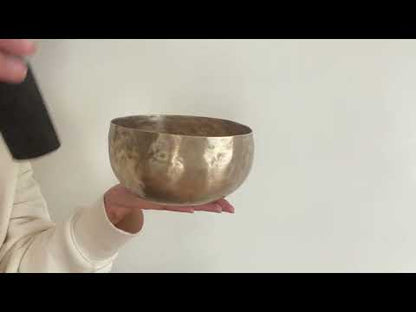 Copre Singing Bowl - C#3 136 Hz