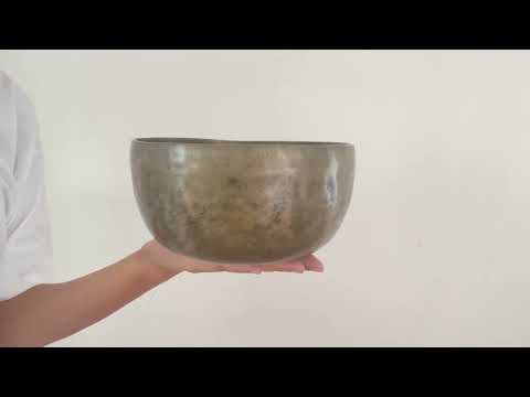 Tara Singing Bowl - Base Note D#3 (156 Hz)