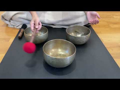 Set of 3 Tara Bowls - TBS74