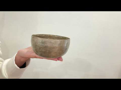 Small Tara Singing Bowl - Base Note E4 (336Hz)