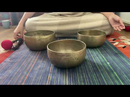 Set of 3 Tara Bowls - TBS82