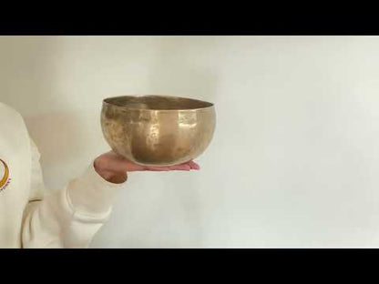 Copre Singing Bowl - C#3 138 Hz