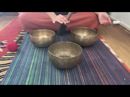 Set of 3 Tara Bowls - TBS78