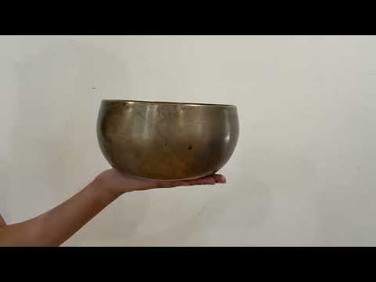 Tara Singing Bowl - Base Note C3 (131 Hz)