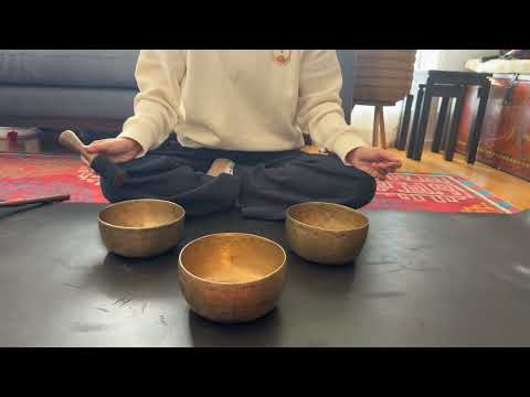 Set of 3 Tara Bowls - TBS96