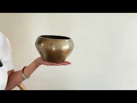 Collector's Buddha Singing Bowl - Base Note G#4 (416 Hz)
