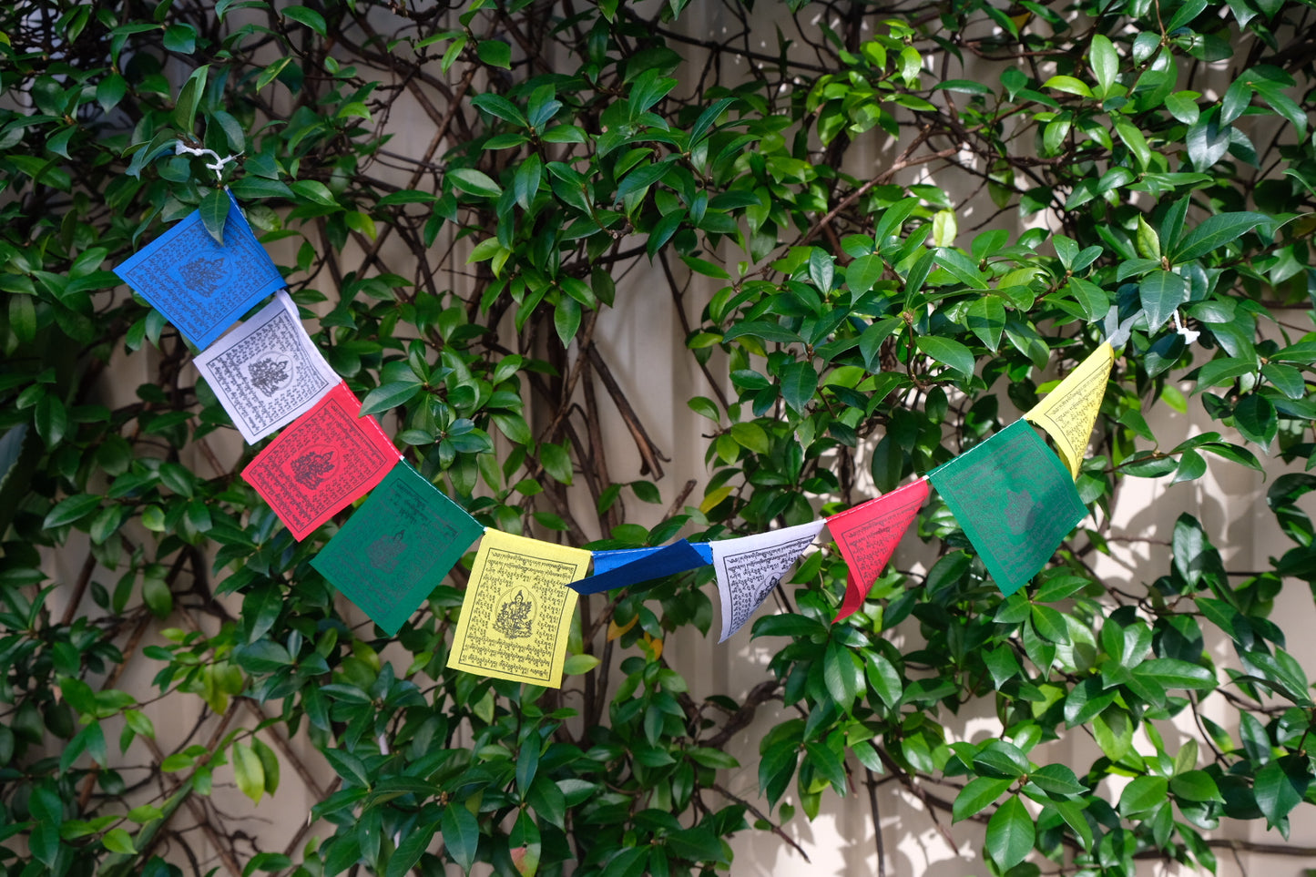 Mini Prayer Flags - Green Tara