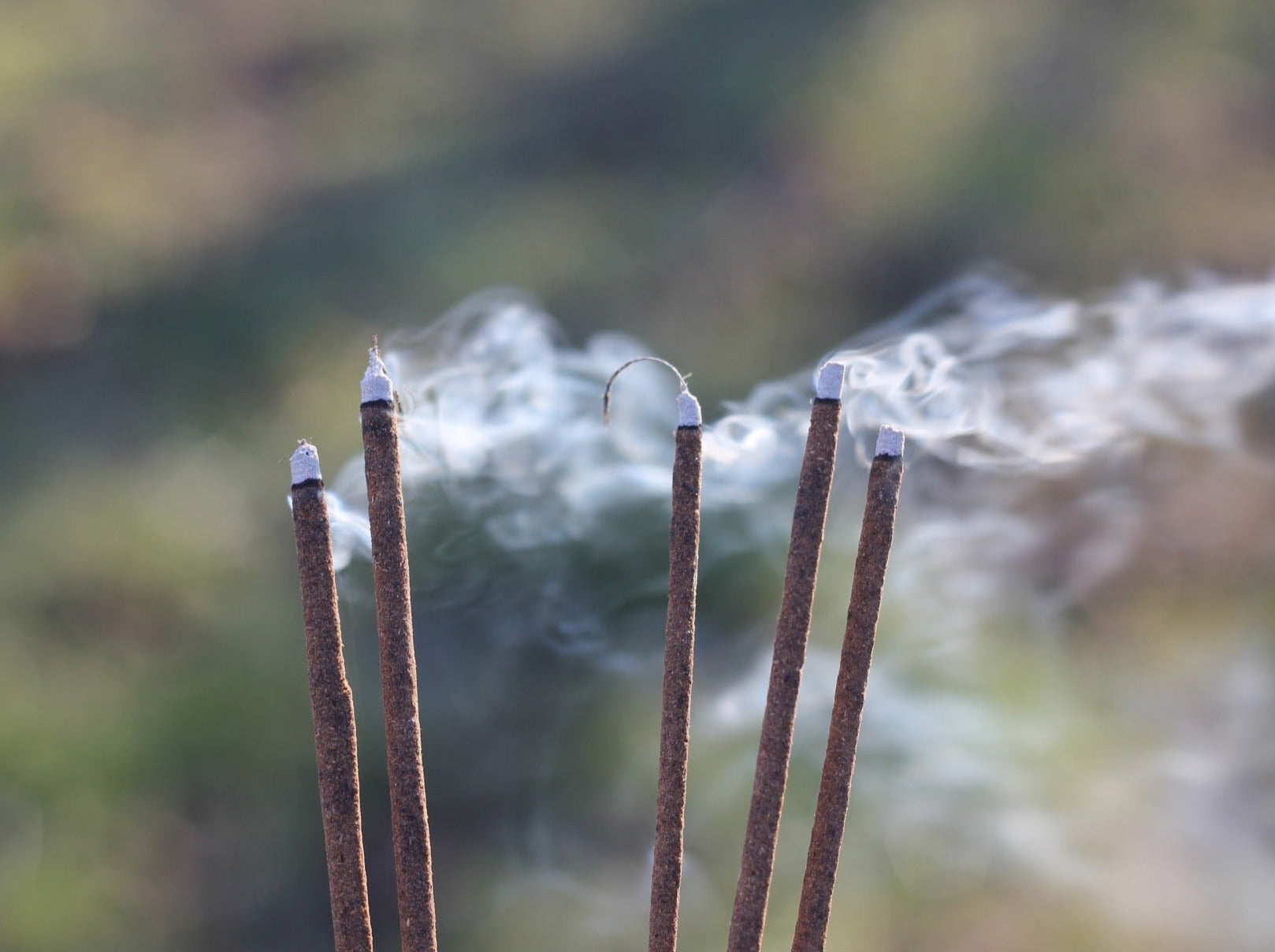Tibetan herbal incense sticks burning with smoke.