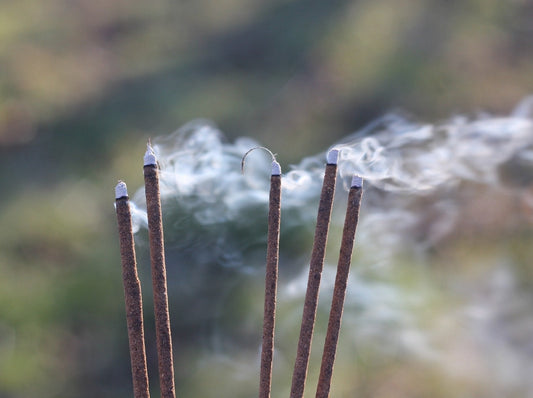 5 packs of  mixed Tibetan Herbal Incense sticks