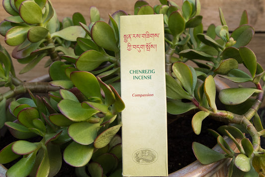 Packet of Tibetan Herbal Chenrezig incense