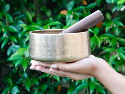 Unusual Singing Bowl - D 300 Hz