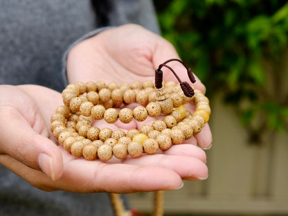 lotus seed mala with amber spacer in palm