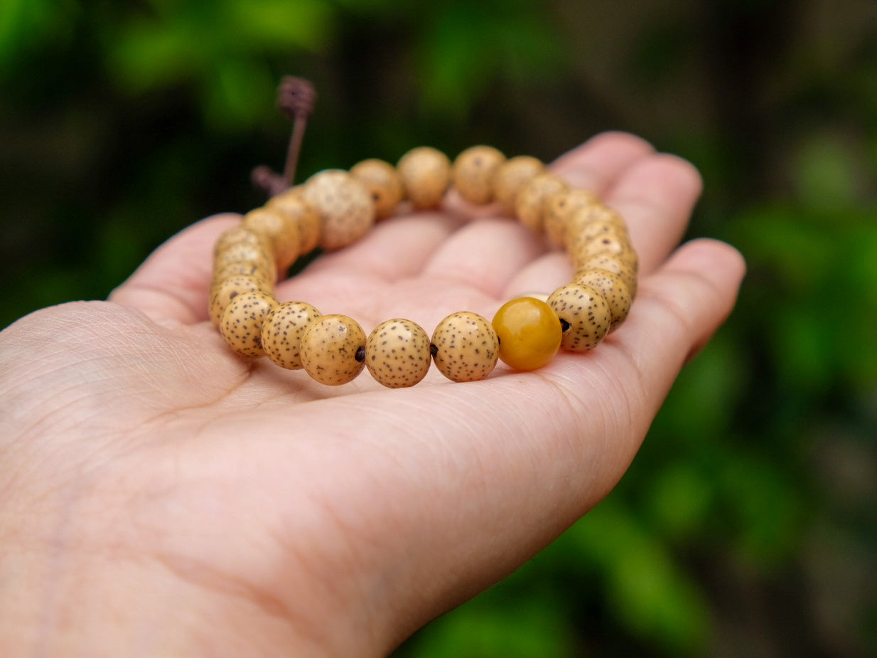 Polished Lotus Seed Mala Bracelet