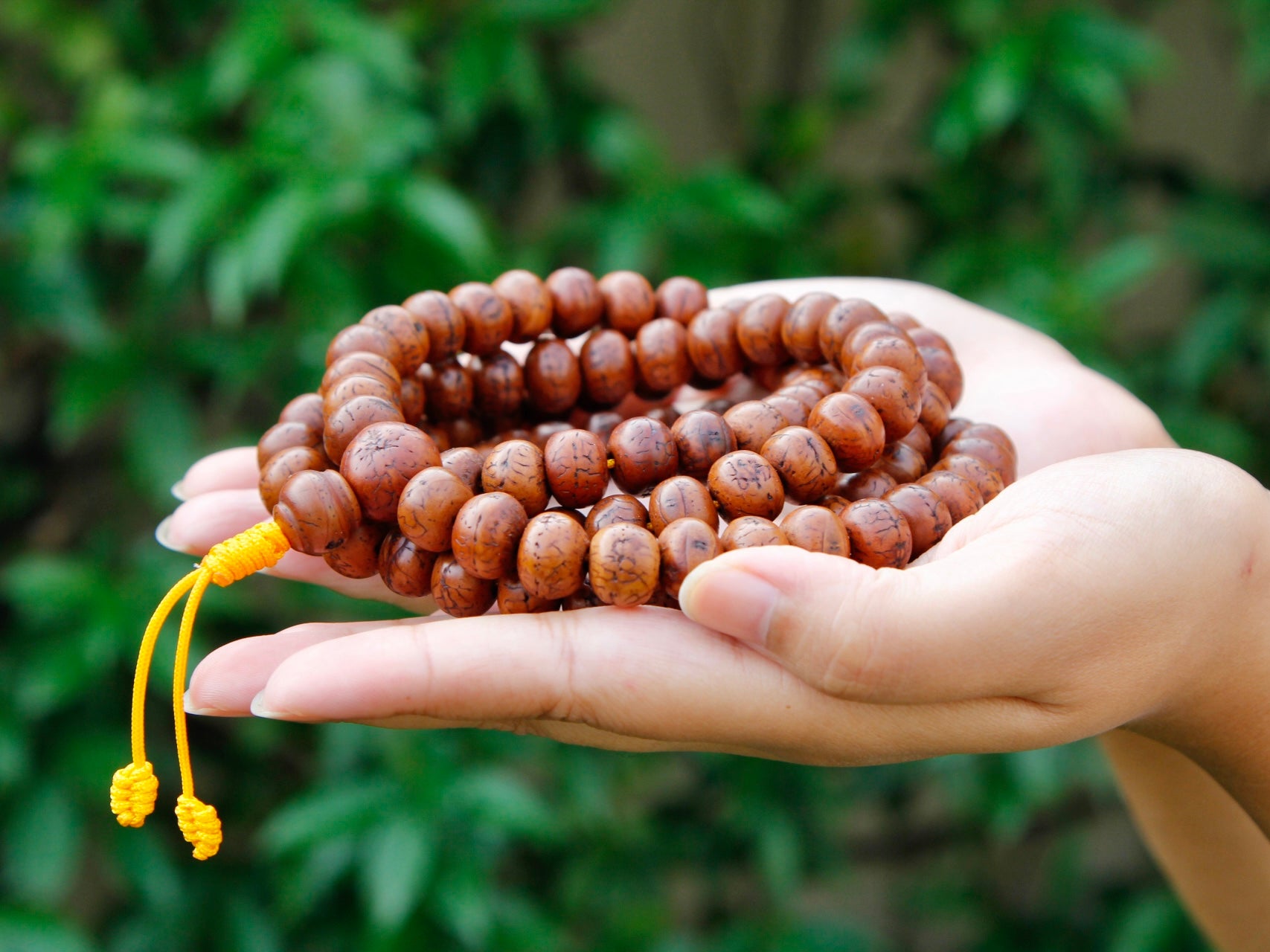 Close up of beads in Bodhi seed mala