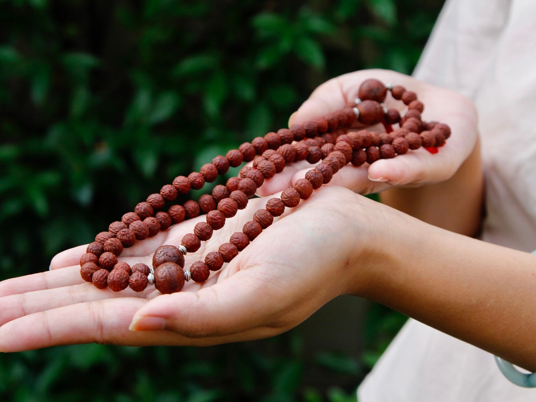 Rakhtu seed mala stretched out in 2 hands