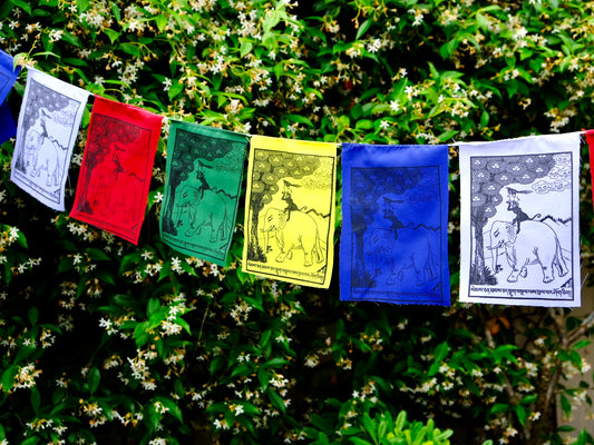 Four harmonious friends prayer flags strung out in garden
