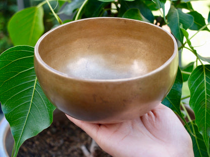 Small Contemporary Flow Singing Bowl - Base note F 358 Hz