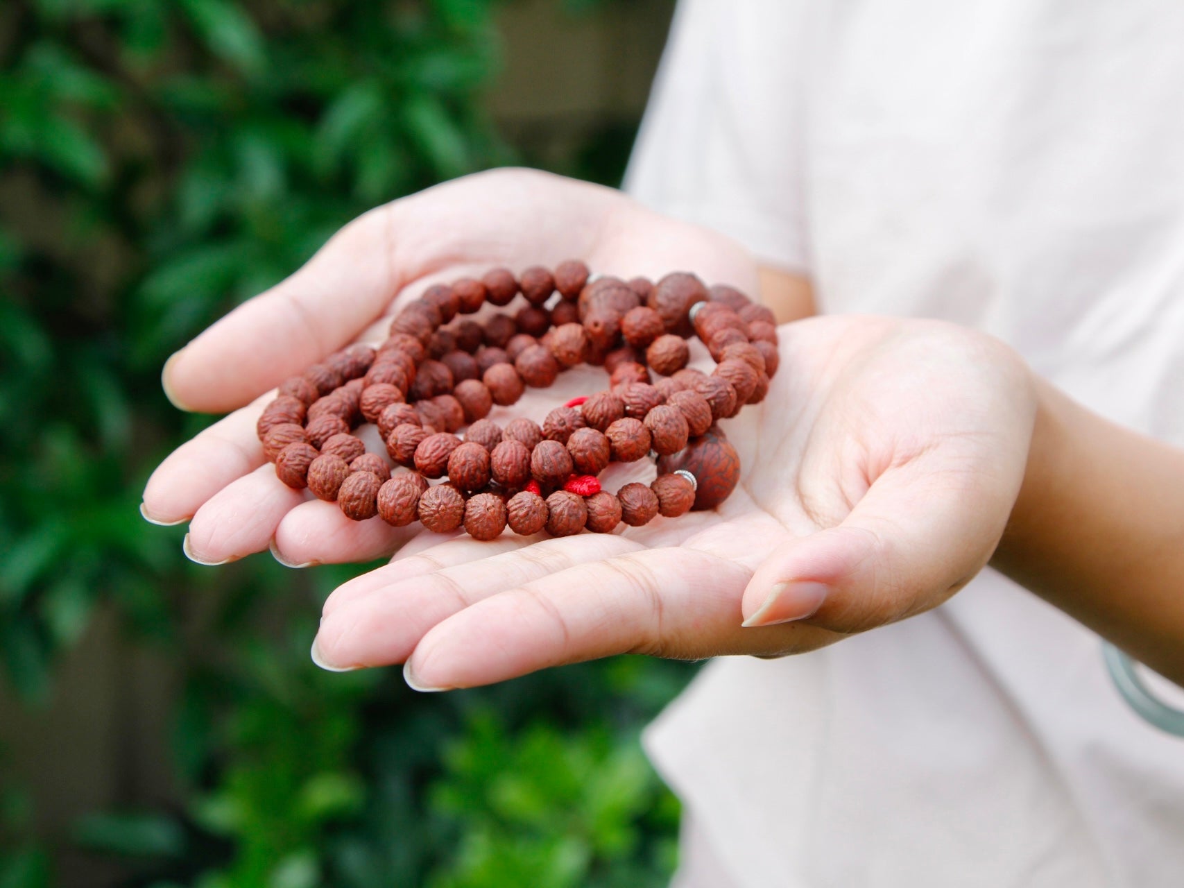 Rakhtu seed mala in palm of hands showing beautiful pattern on beads