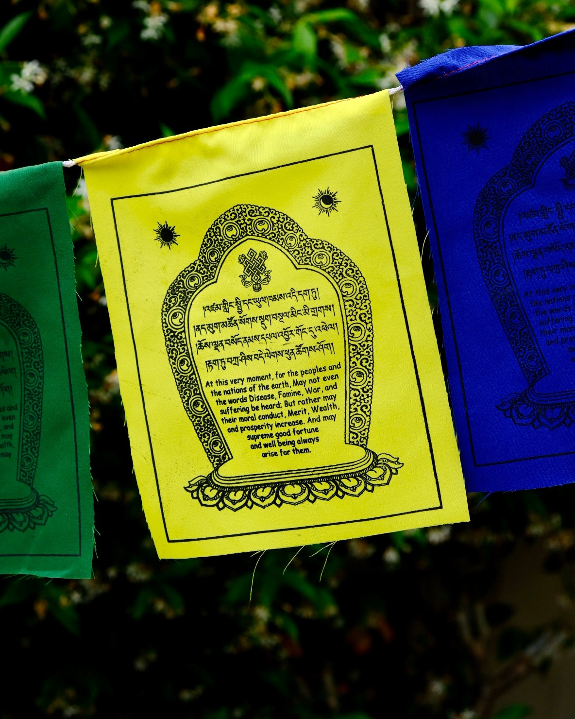 World Peace Prayer Flags