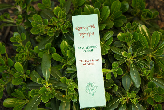 Sandalwood Herbal Tibetan Incense